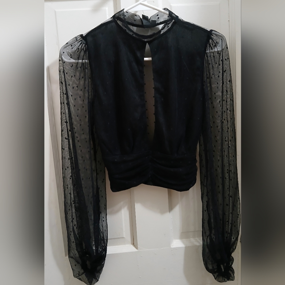 Windsor Elegant Black Blouse with Sheer Sleeves